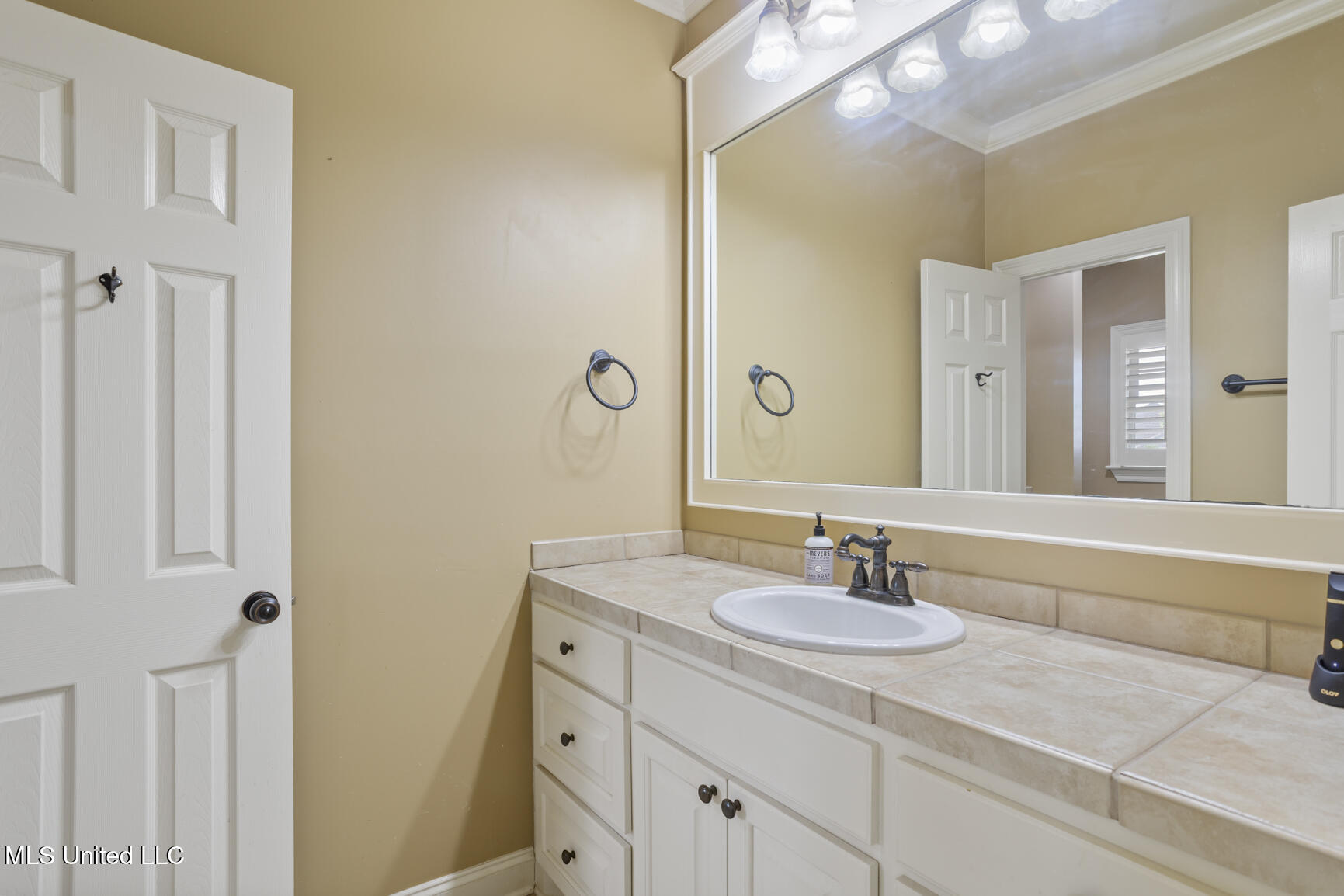 100 Catherine Cove, Madison, Mississippi image 42