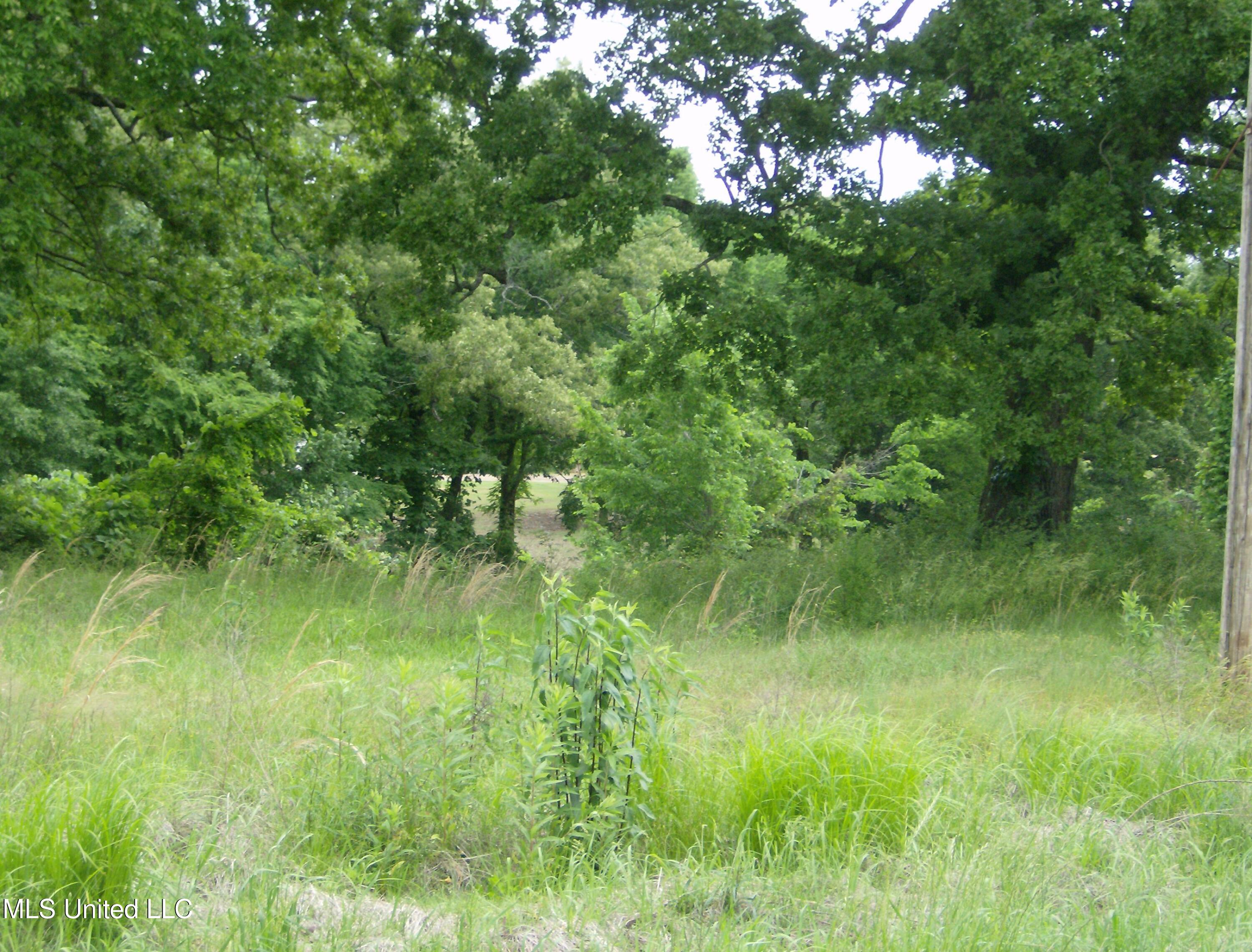 13705 Byhalia Road, Byhalia, Mississippi image 2