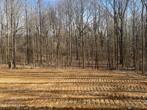 Vacant Land For Sale - Longtown Road<br/> Sarah, MS 38665