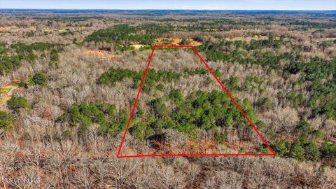 Vacant Land For Sale - Cleary Road<br/> Florence, MS 39073