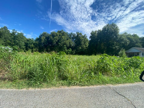 Vacant Land For Sale - Bingham Street<br/> Clayton, LA 71326