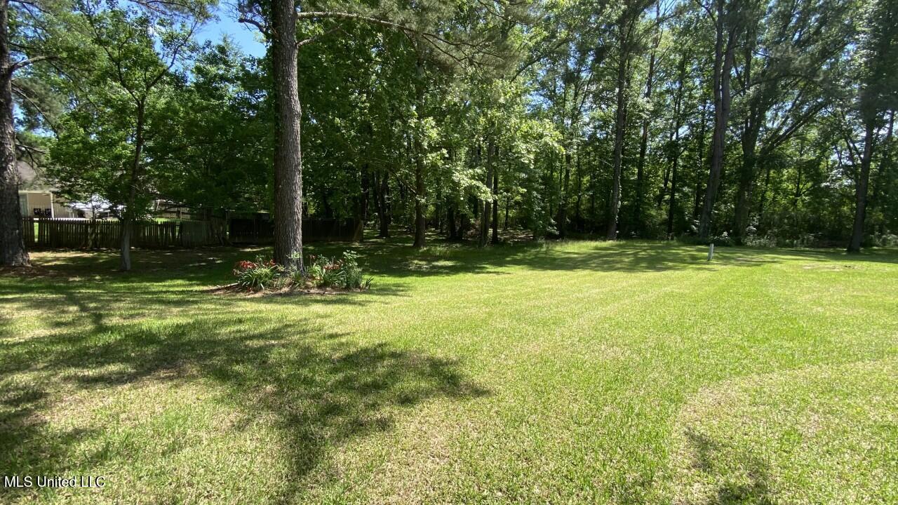 326 Amanda Lane, Byram, Mississippi image 3