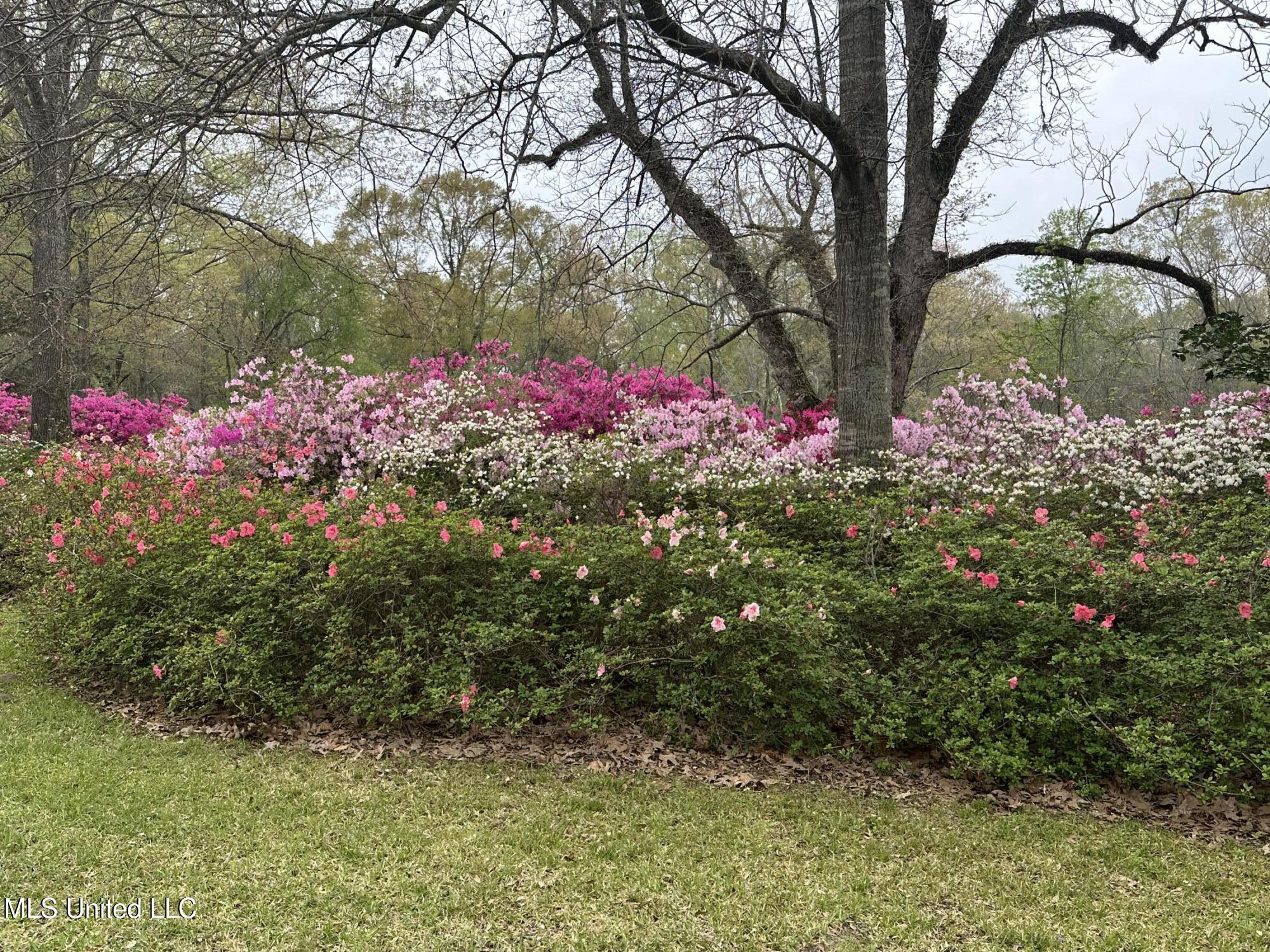 1164 Lower Woodville Road, Natchez, Mississippi image 16