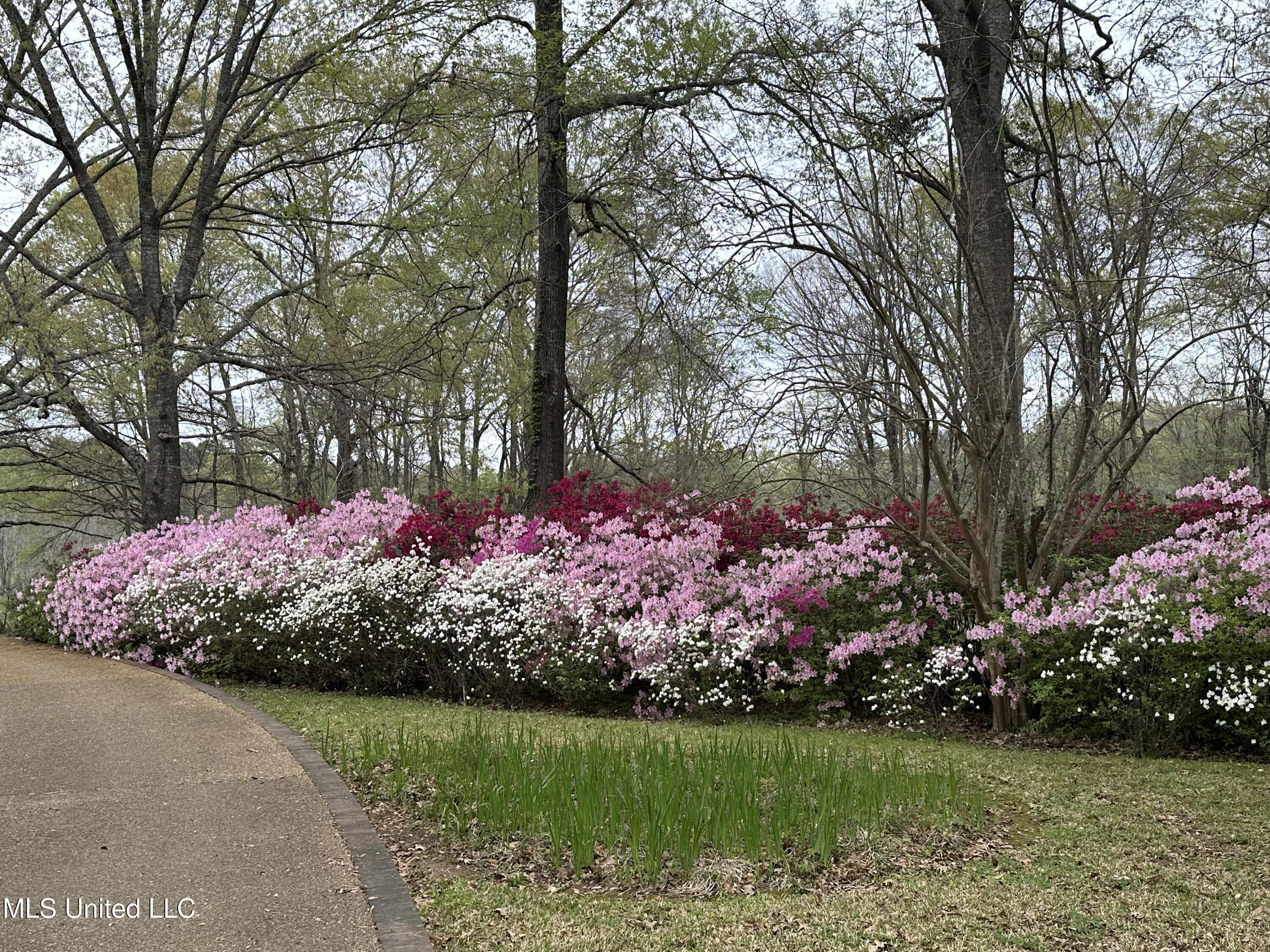 1164 Lower Woodville Road, Natchez, Mississippi image 12