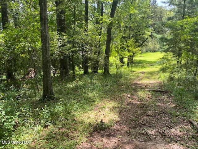 1164 Lower Woodville Road, Natchez, Mississippi image 9