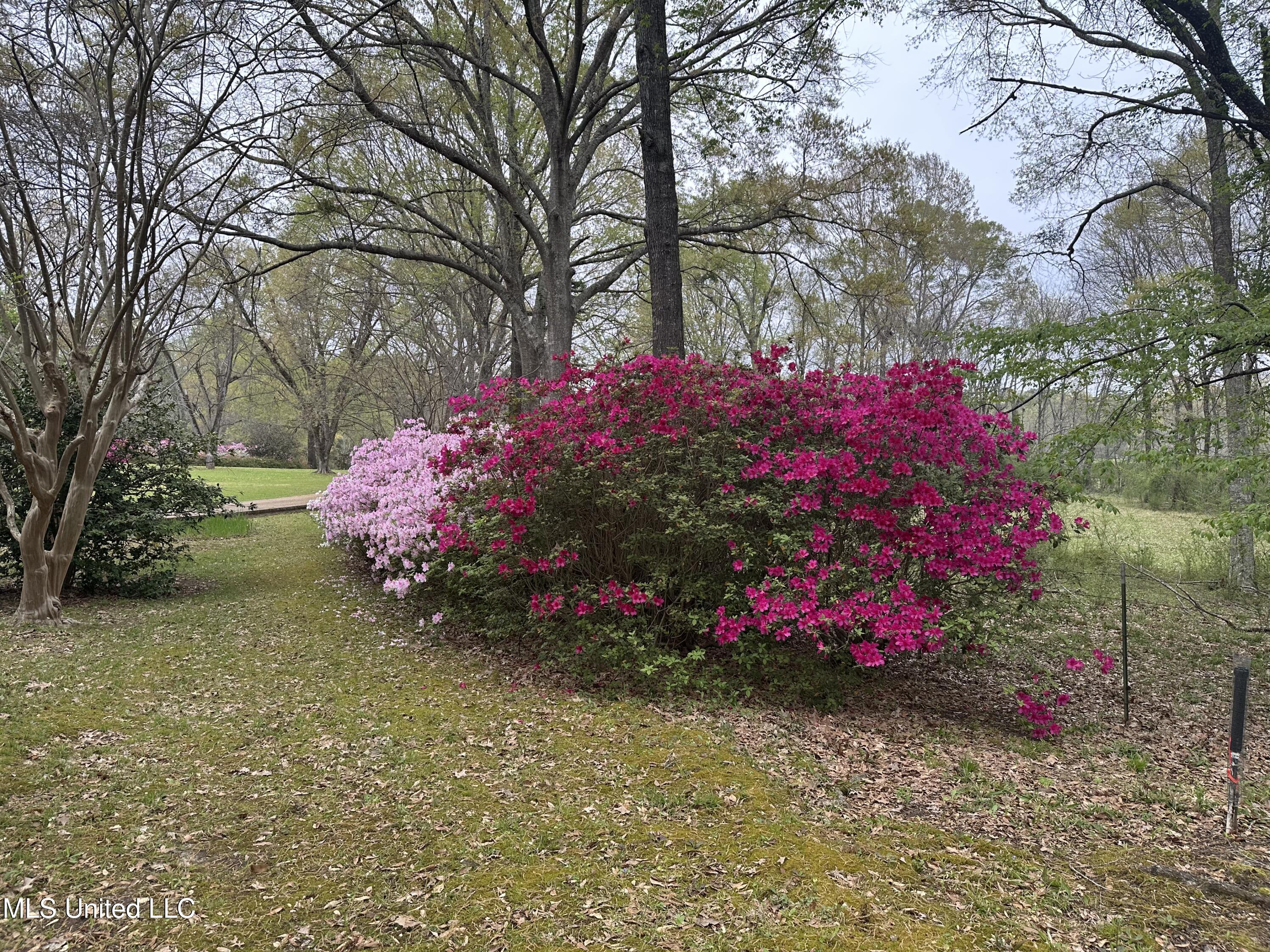 1164 Lower Woodville Road, Natchez, Mississippi image 13