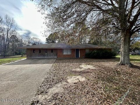 Apartment For Sale - 1119 Willis Cotton Road<br/> Pike County, Summit, MS 39666