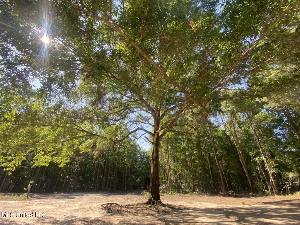 7066 Dubys Lane, Long Beach, Mississippi image 23