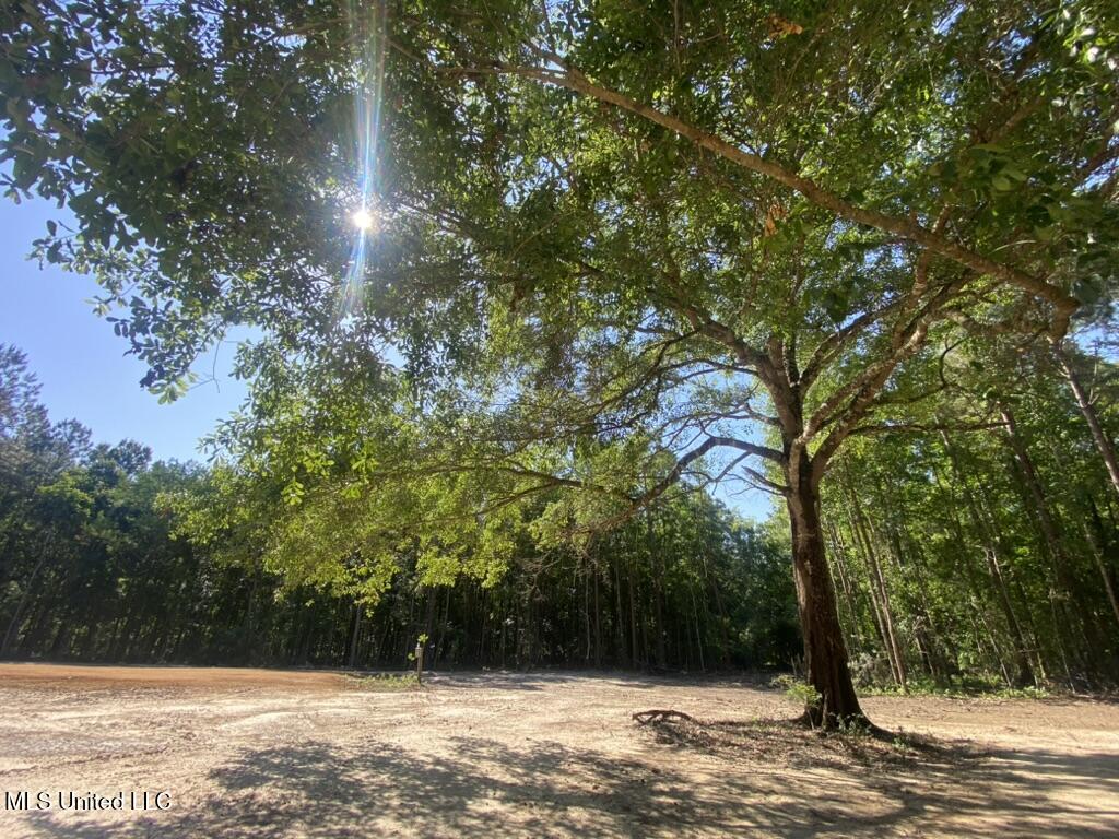 7066 Dubys Lane, Long Beach, Mississippi image 24