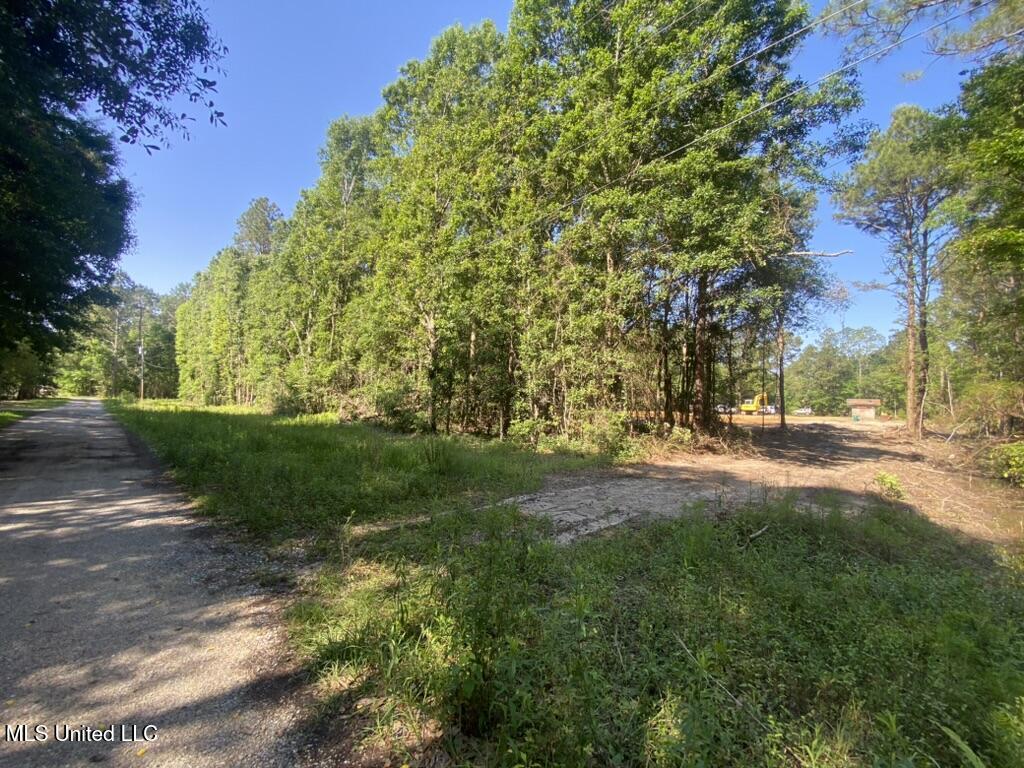 7066 Dubys Lane, Long Beach, Mississippi image 31