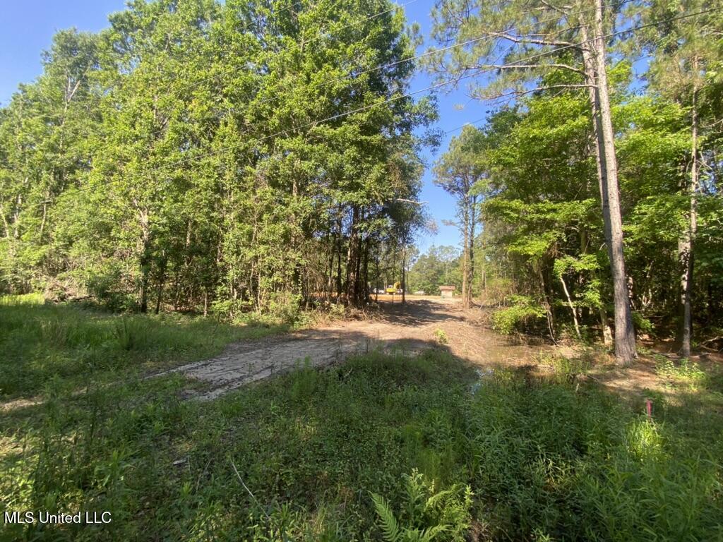 7066 Dubys Lane, Long Beach, Mississippi image 30