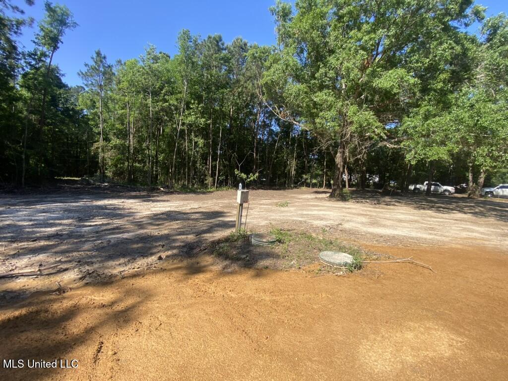 7066 Dubys Lane, Long Beach, Mississippi image 19