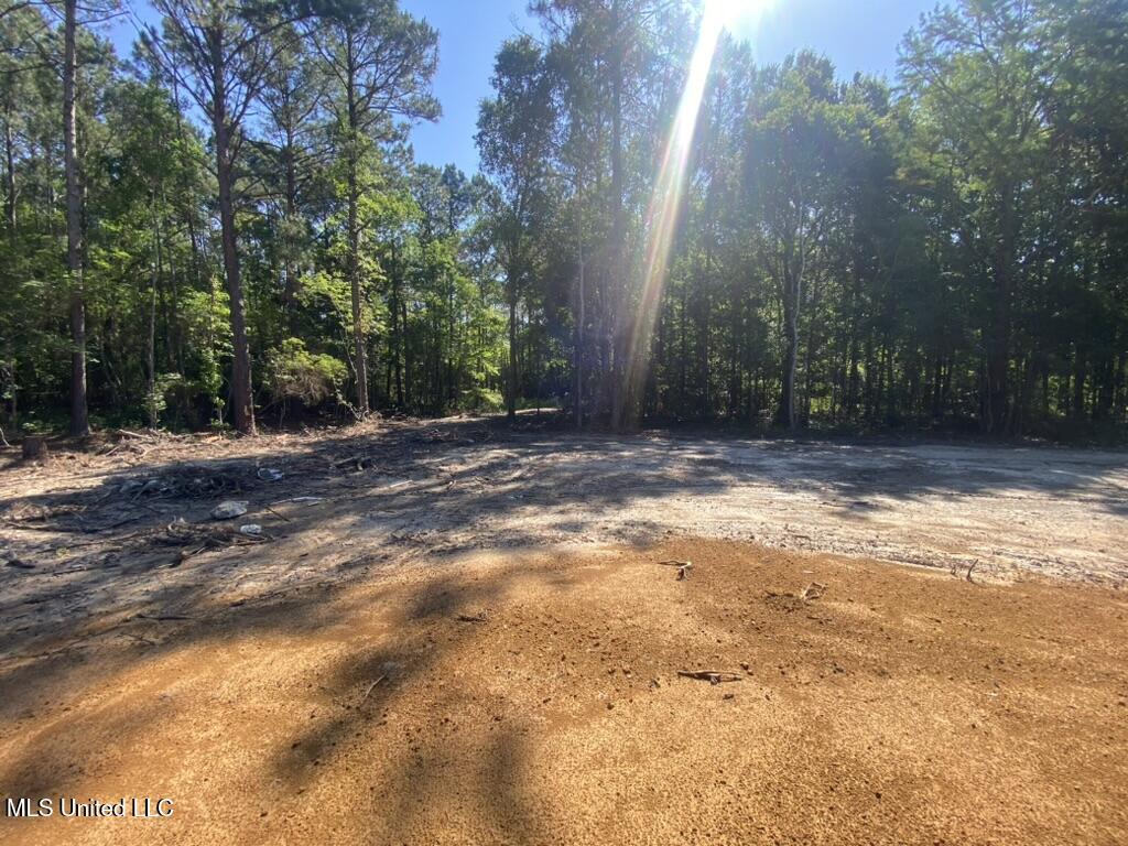 7066 Dubys Lane, Long Beach, Mississippi image 14