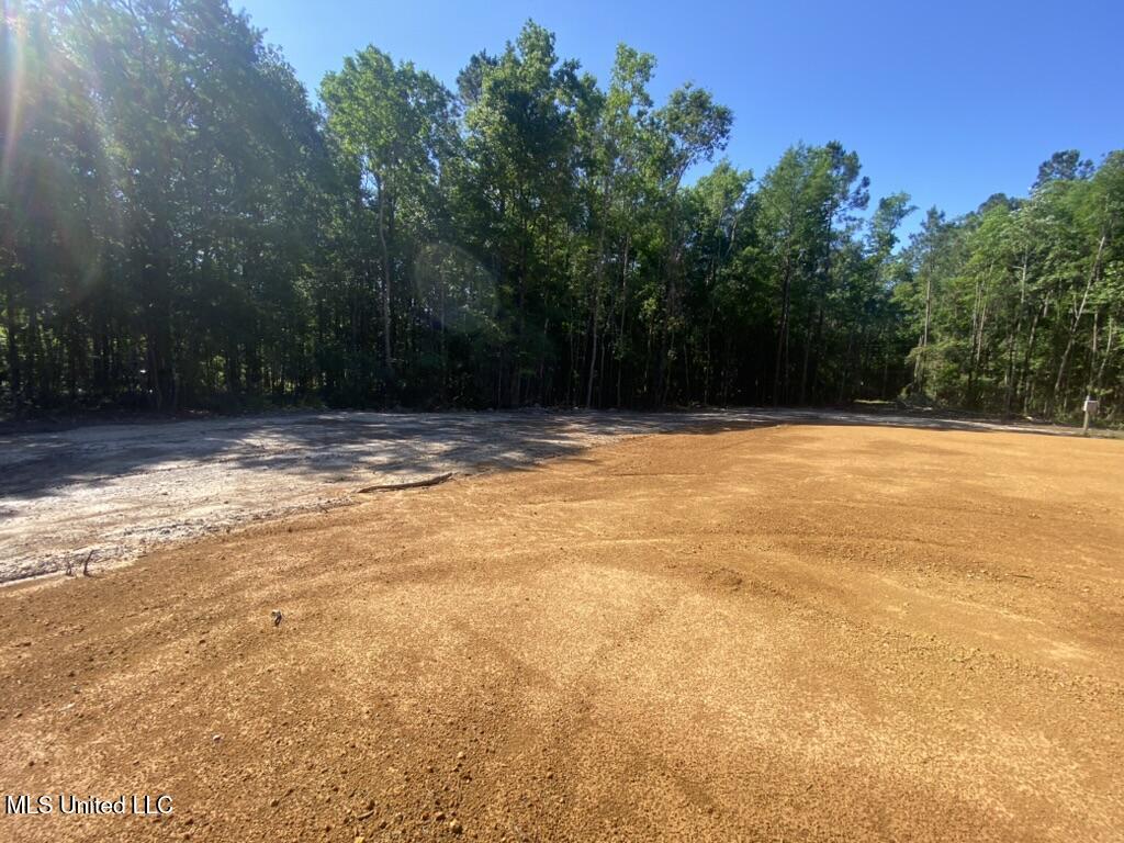 7066 Dubys Lane, Long Beach, Mississippi image 15