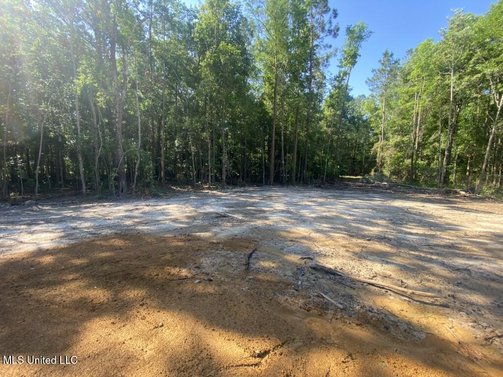 7066 Dubys Lane, Long Beach, Mississippi image 20