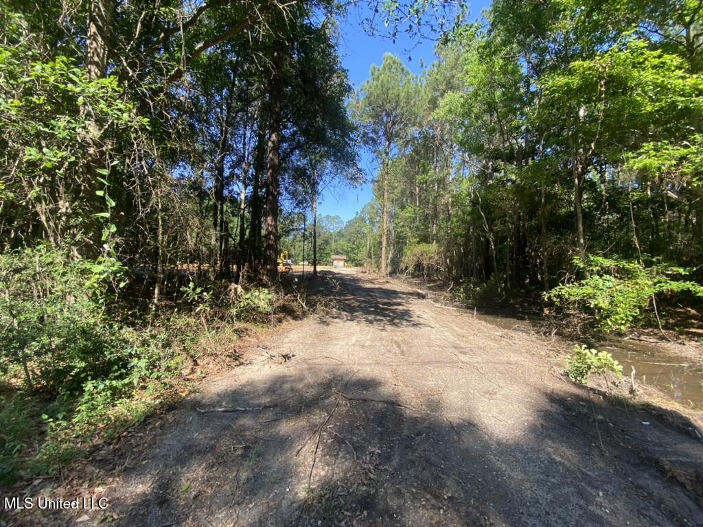 7066 Dubys Lane, Long Beach, Mississippi image 28