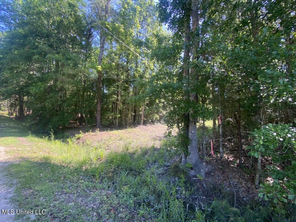 7066 Dubys Lane, Long Beach, Mississippi image 7