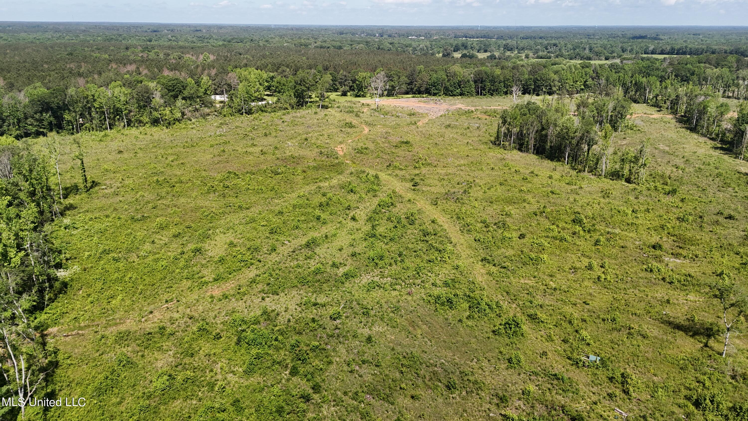 Harrison Road, Forest, Mississippi image 8