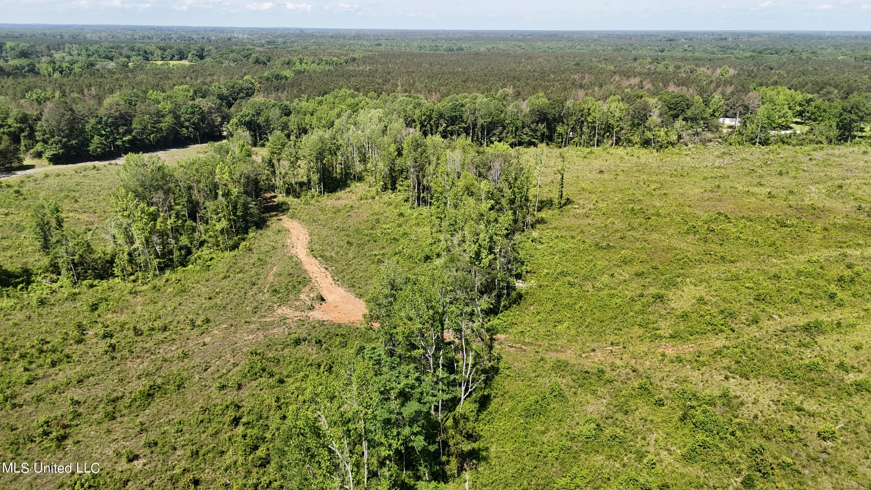 Harrison Road, Forest, Mississippi image 9