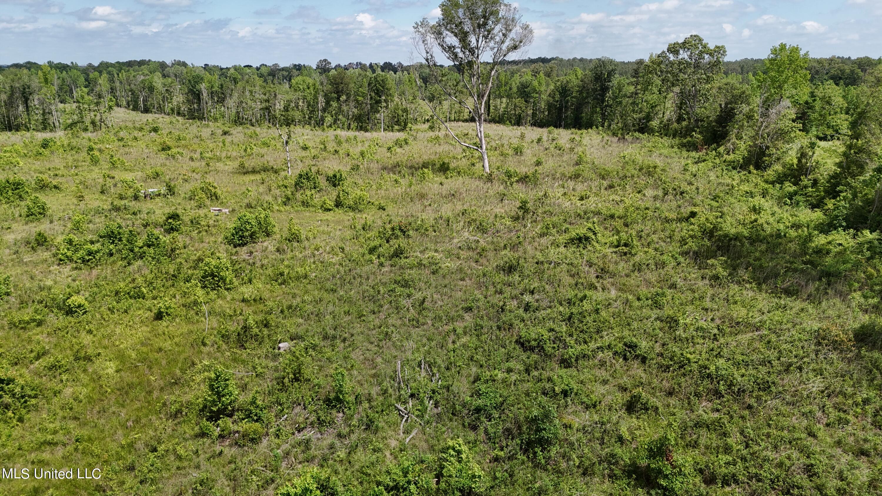 Harrison Road, Forest, Mississippi image 18