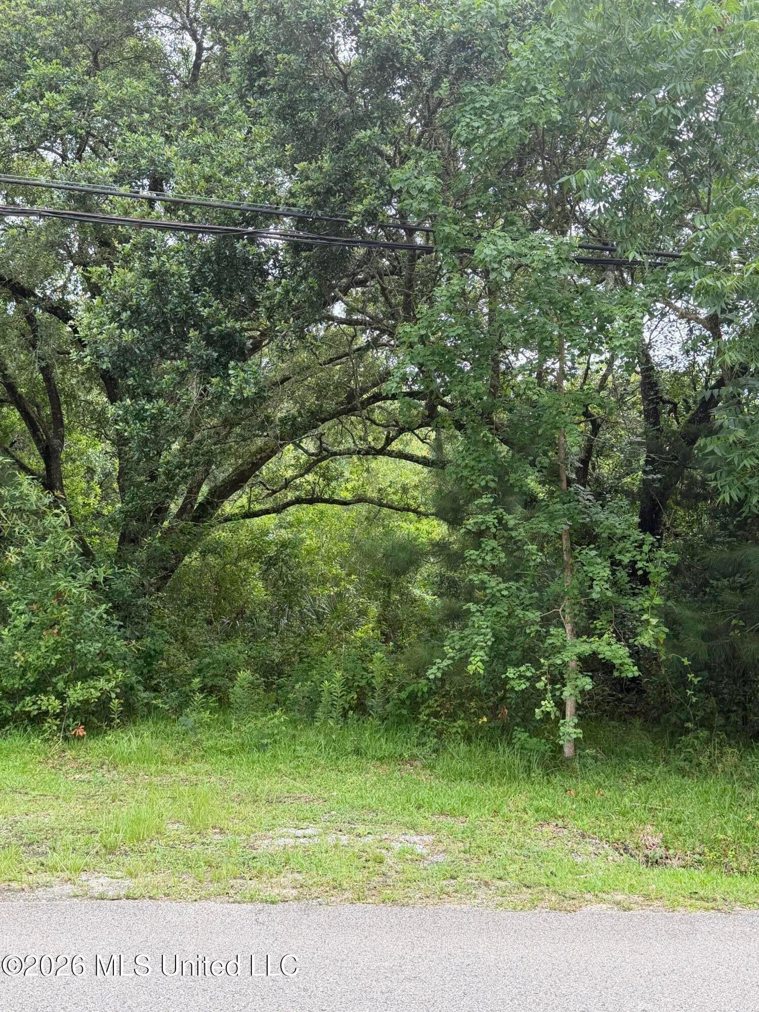 1465 Blue Meadow Road - Photo 4