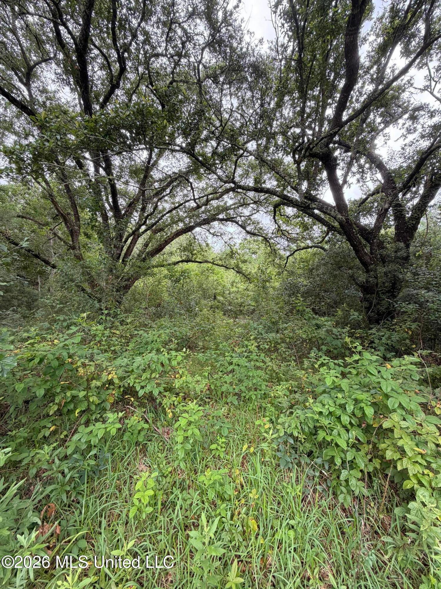 1465 Blue Meadow Road - Photo 3