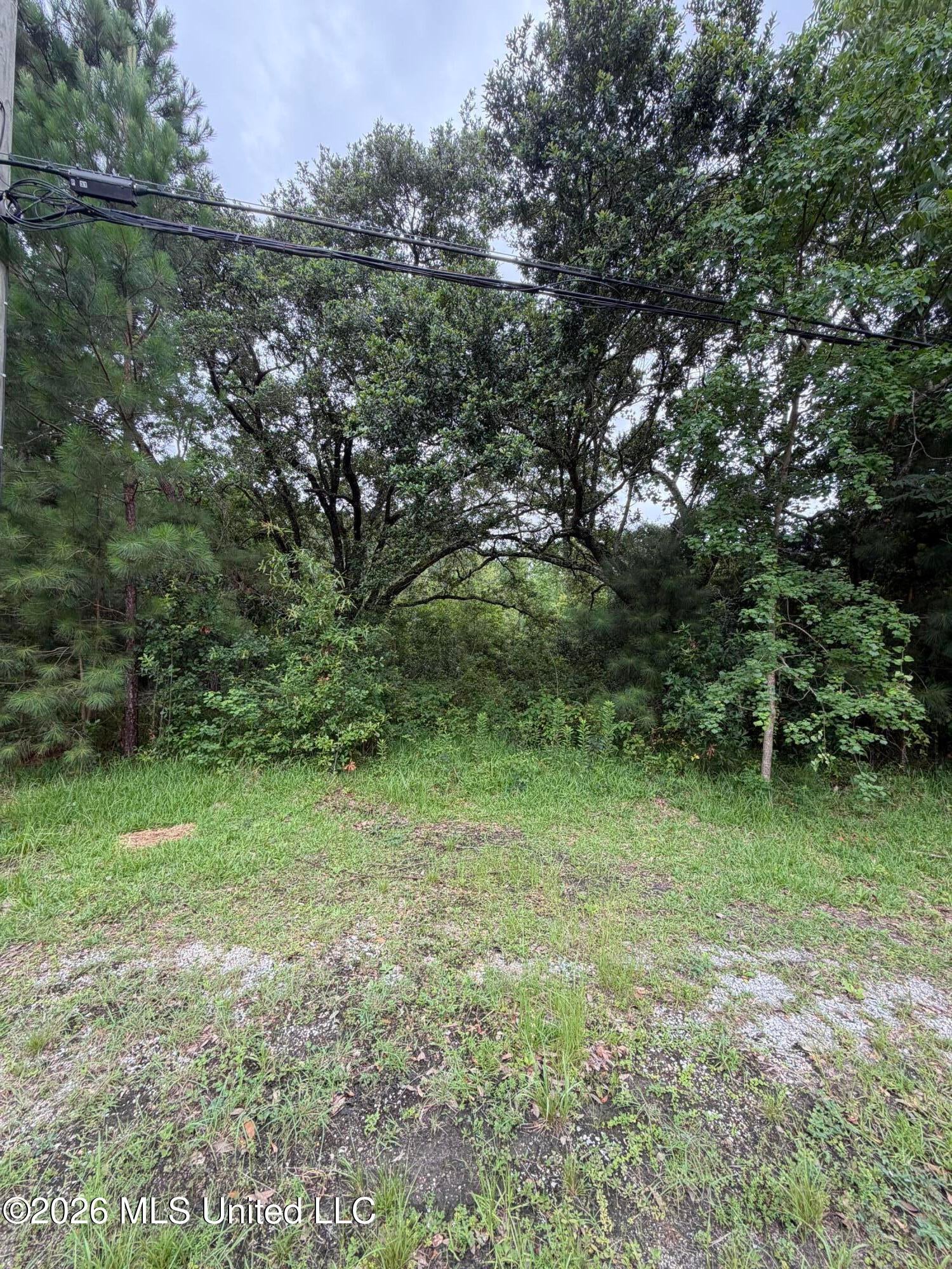 1465 Blue Meadow Road - Photo 2