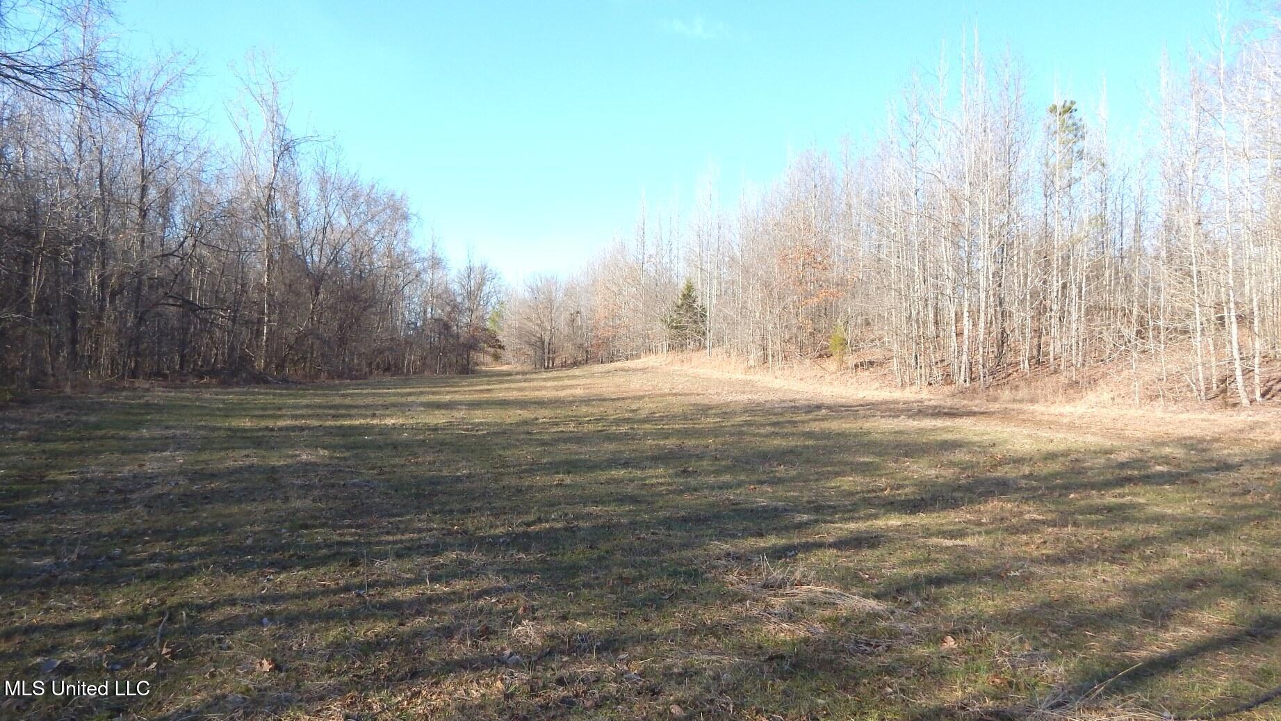 2450 Longtown Road, Sarah, Mississippi image 48