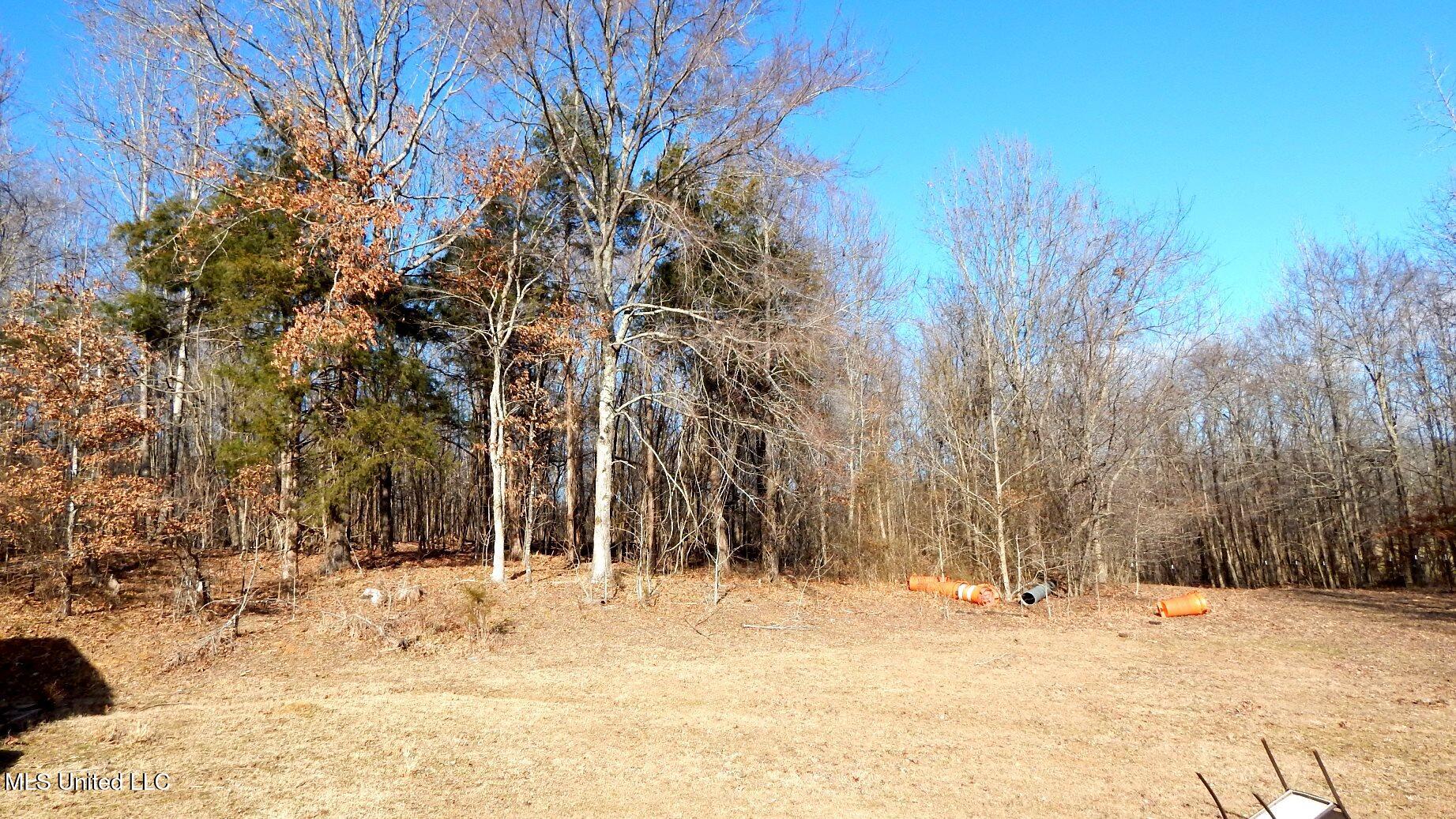 2450 Longtown Road, Sarah, Mississippi image 46