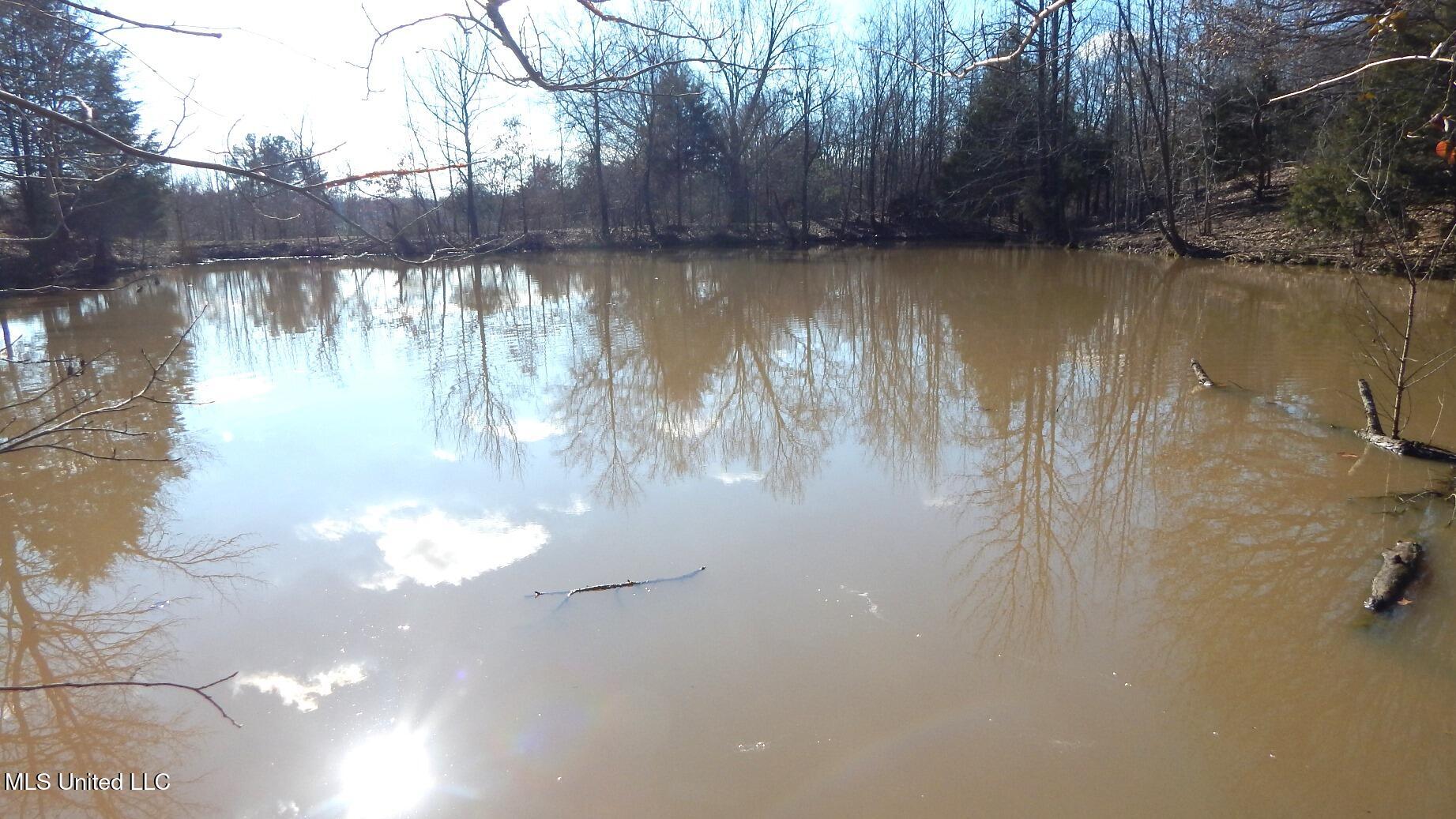 2450 Longtown Road, Sarah, Mississippi image 35