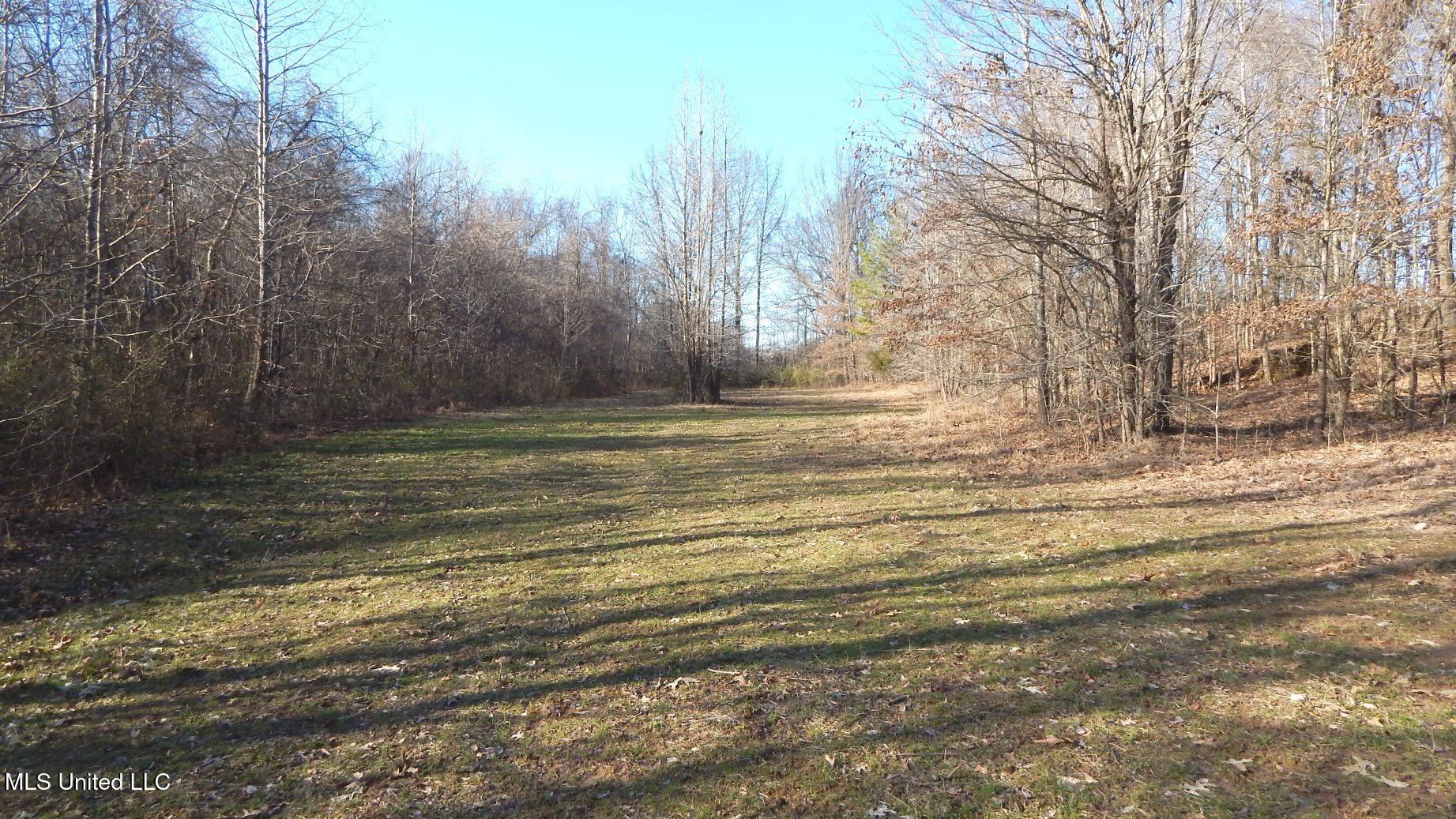 2450 Longtown Road, Sarah, Mississippi image 47