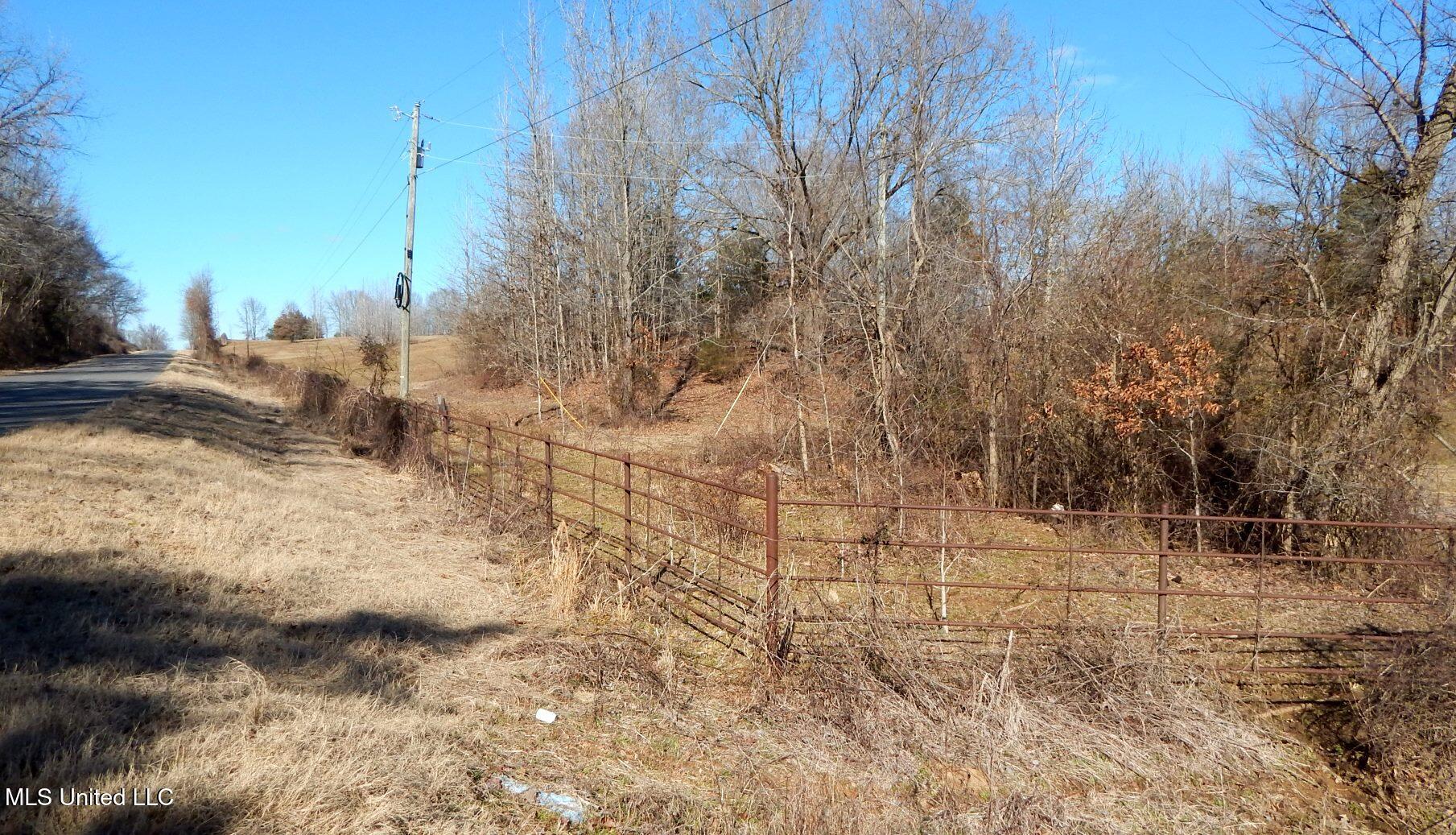 2450 Longtown Road, Sarah, Mississippi image 29
