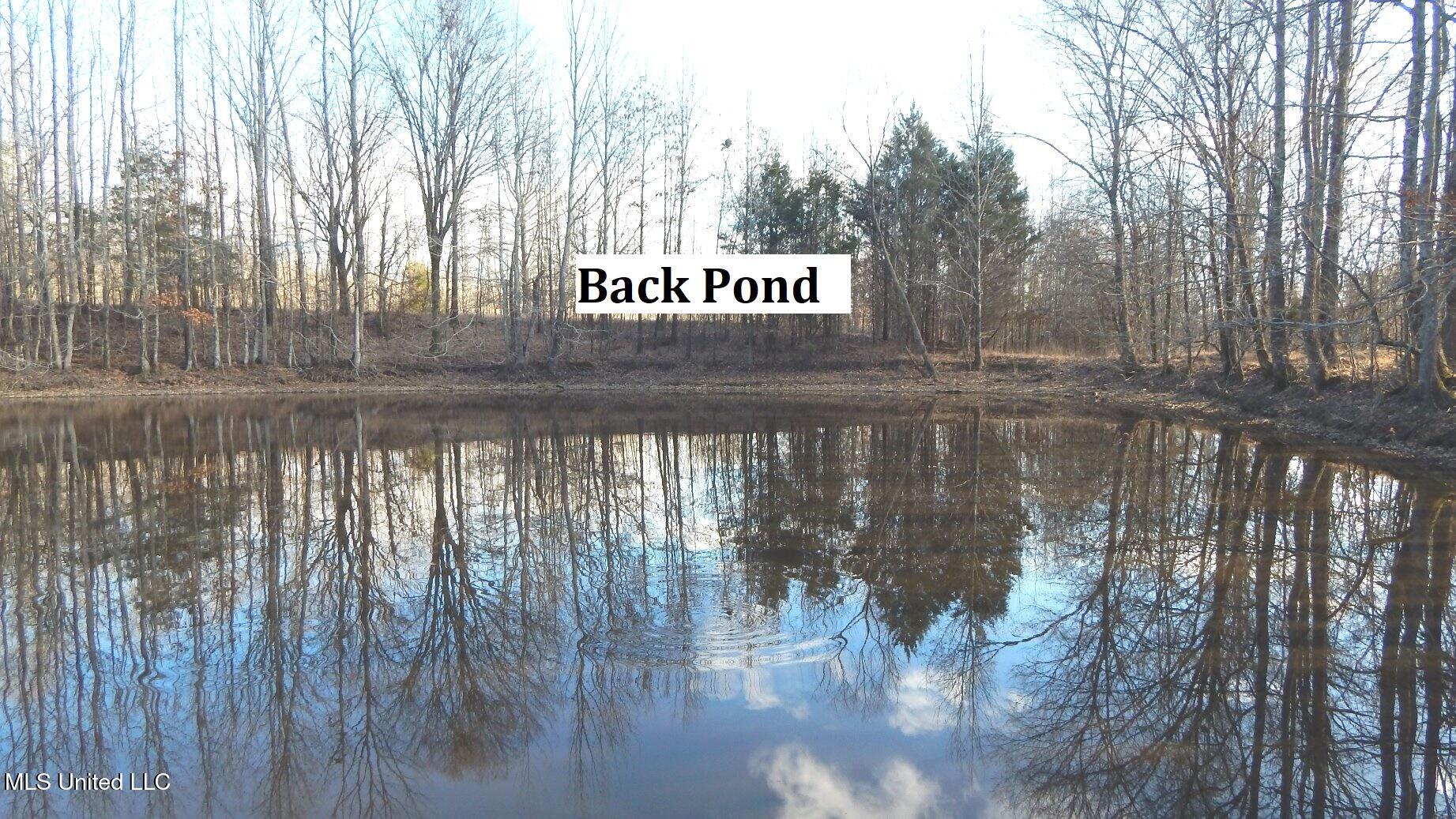 2450 Longtown Road, Sarah, Mississippi image 3