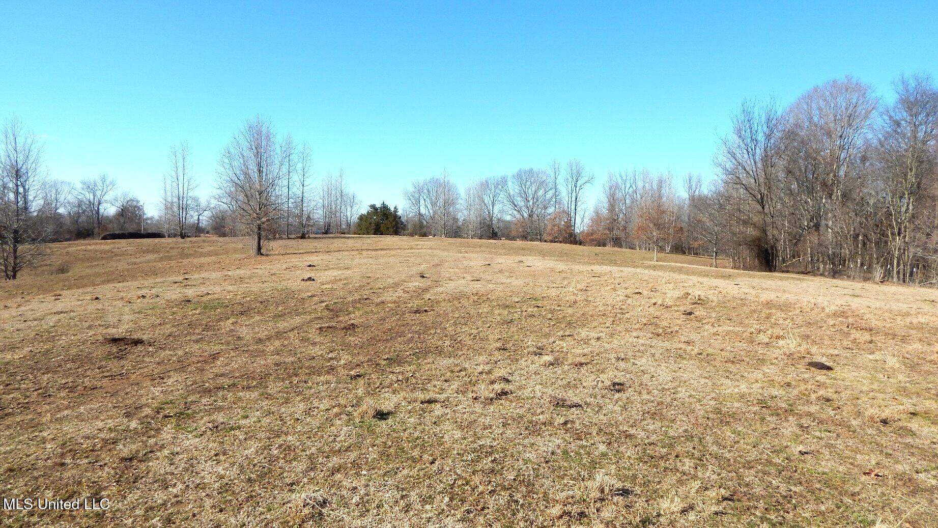 2450 Longtown Road, Sarah, Mississippi image 36