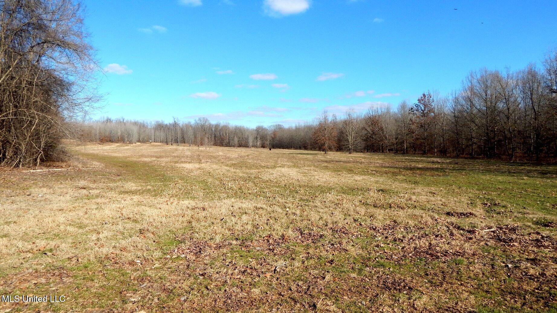 2450 Longtown Road, Sarah, Mississippi image 39