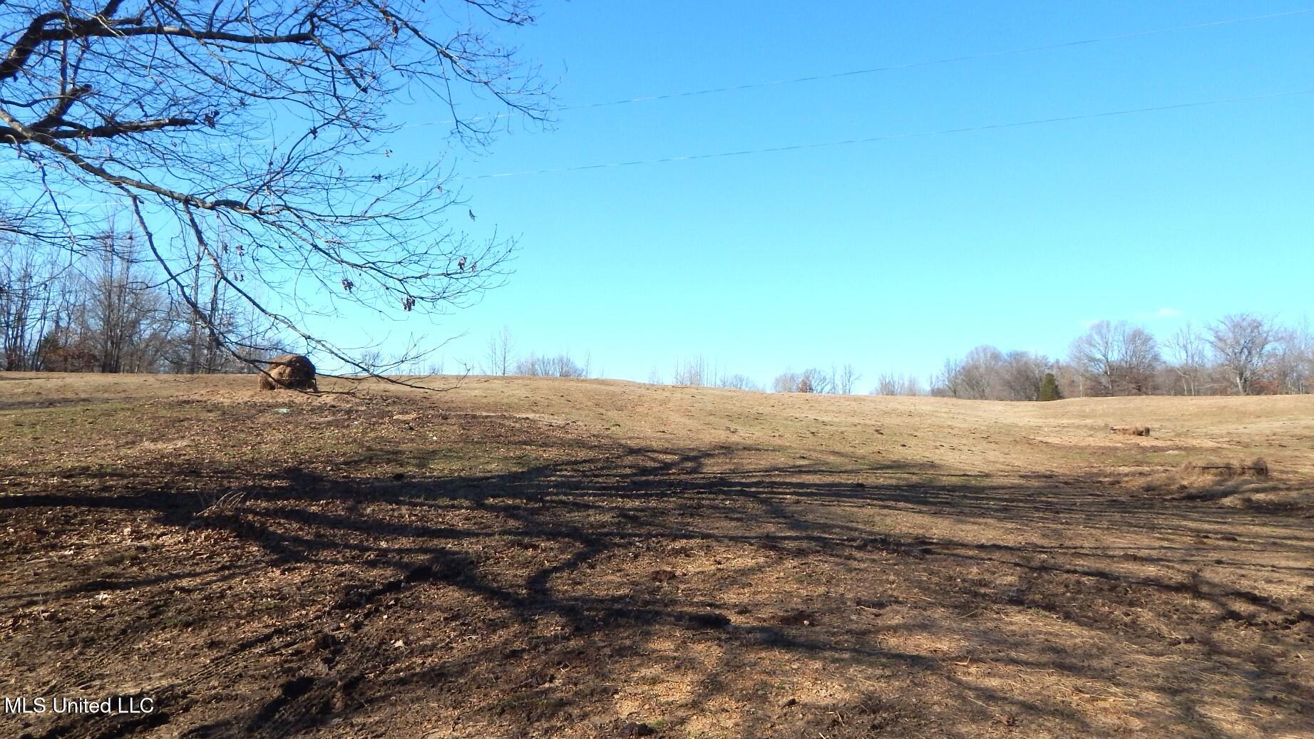 2450 Longtown Road, Sarah, Mississippi image 33