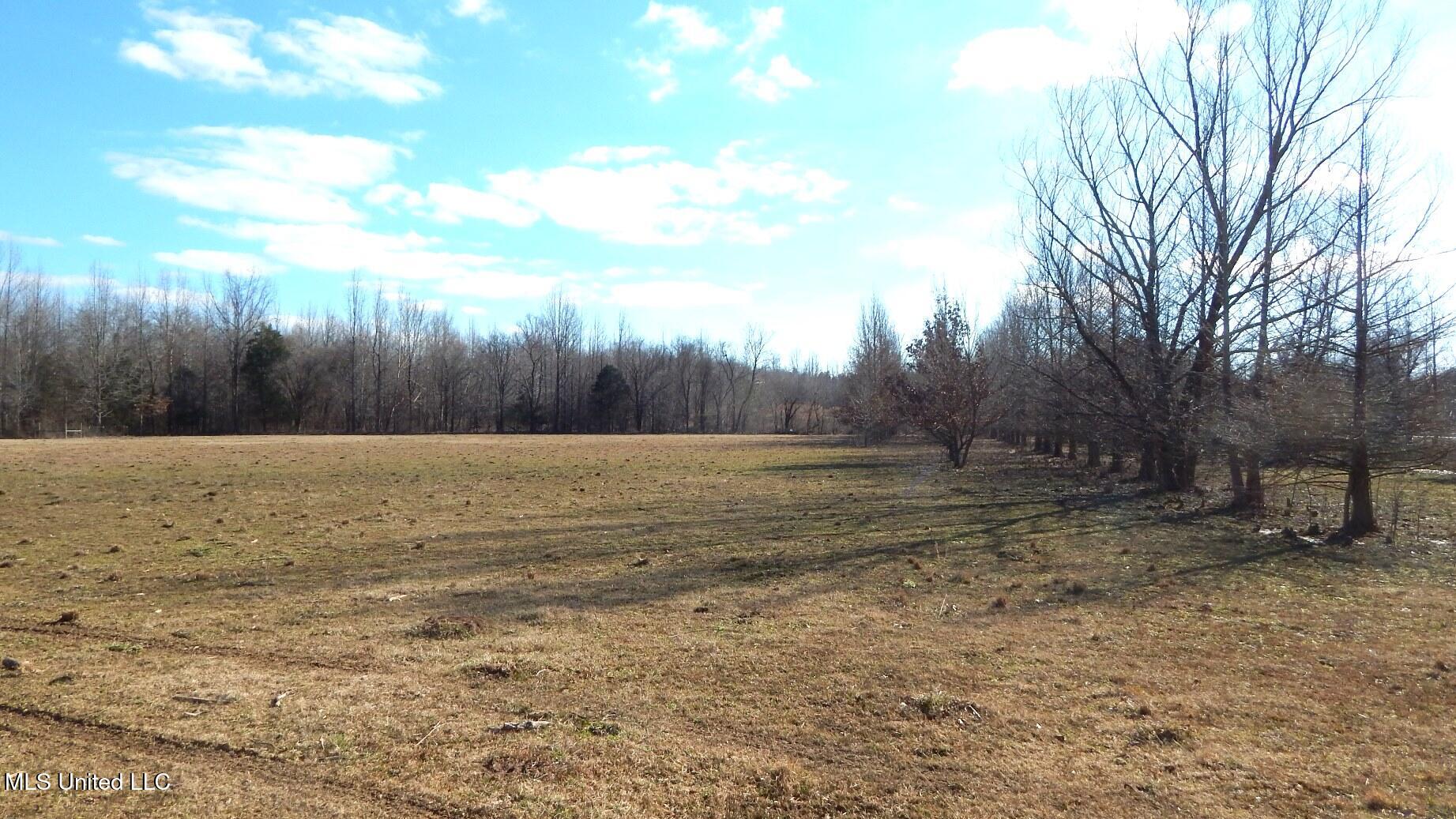 2450 Longtown Road, Sarah, Mississippi image 32