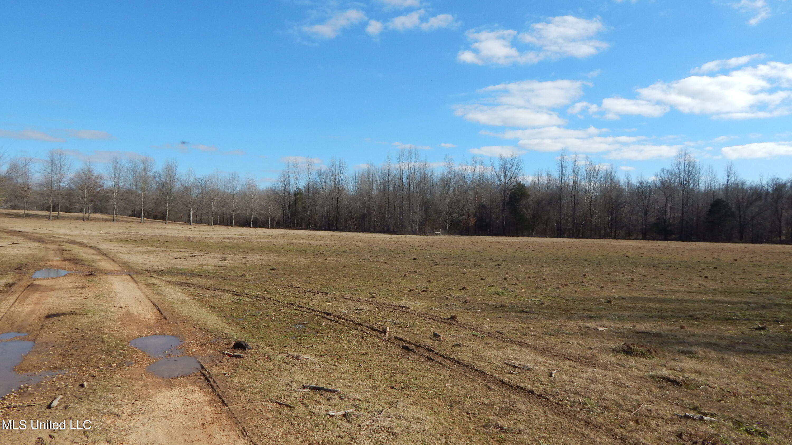2450 Longtown Road, Sarah, Mississippi image 31
