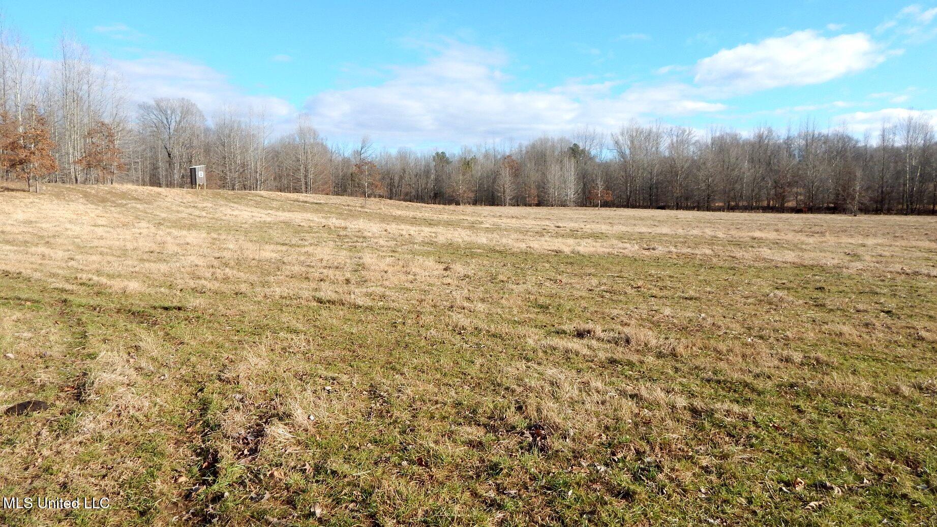 2450 Longtown Road, Sarah, Mississippi image 49