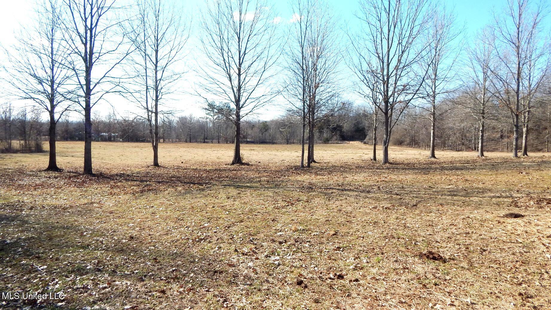 2450 Longtown Road, Sarah, Mississippi image 41