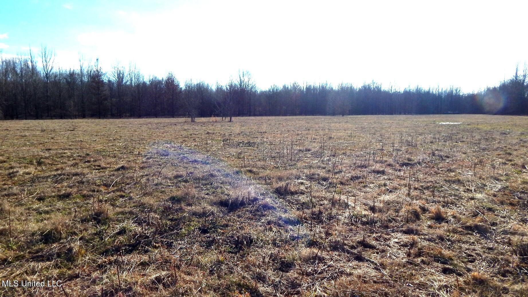 2450 Longtown Road, Sarah, Mississippi image 50