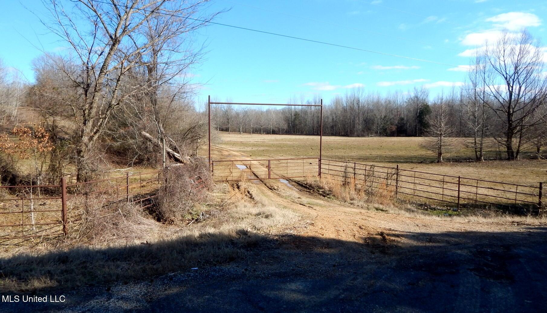 2450 Longtown Road, Sarah, Mississippi image 8