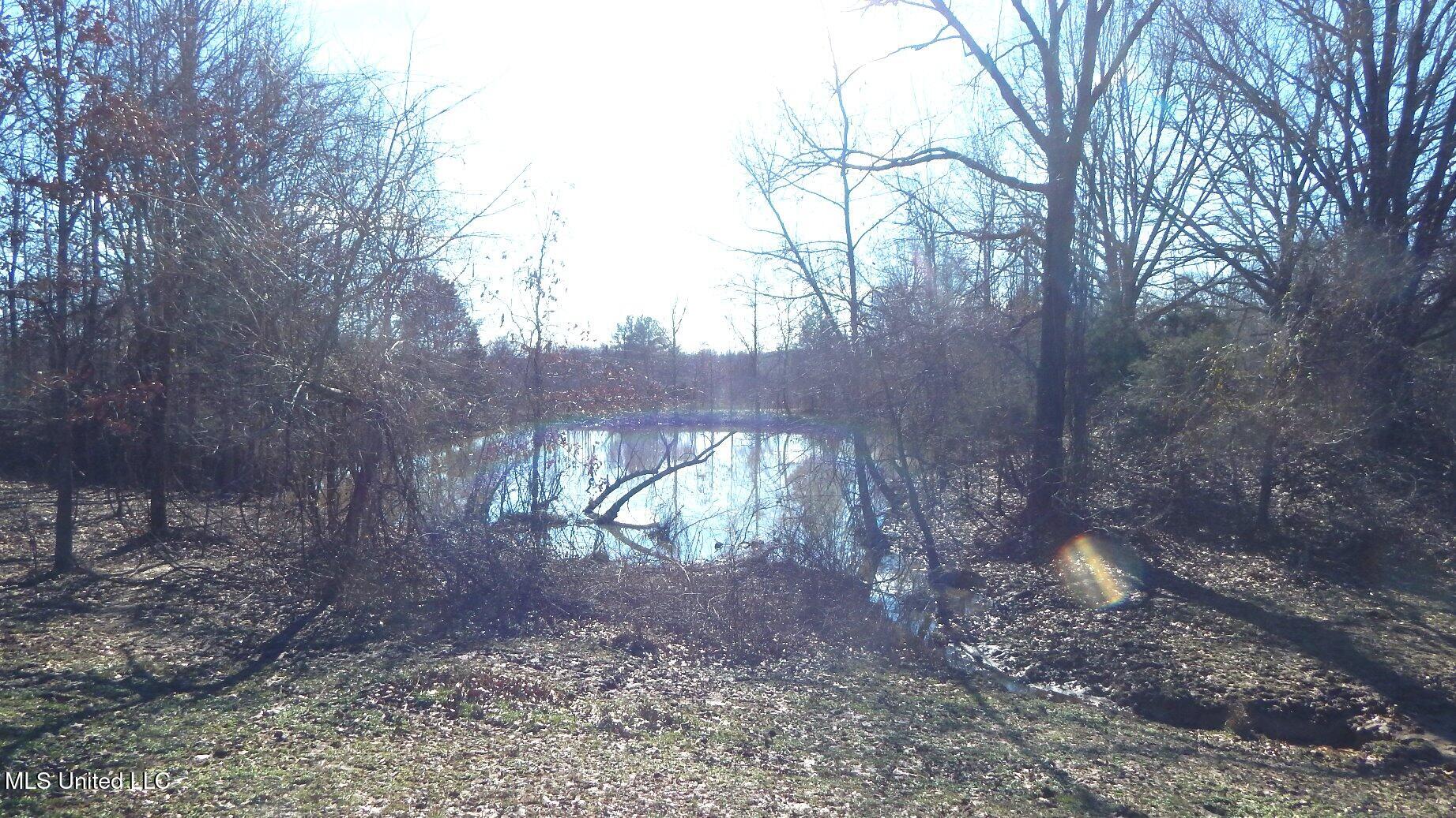2450 Longtown Road, Sarah, Mississippi image 34