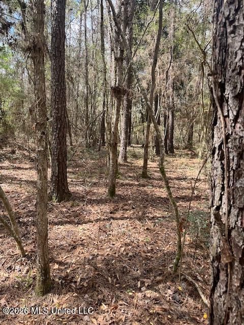 Vacant Land For Sale - Airline Highway<br/> Walthall County, Tylertown, MS 39667