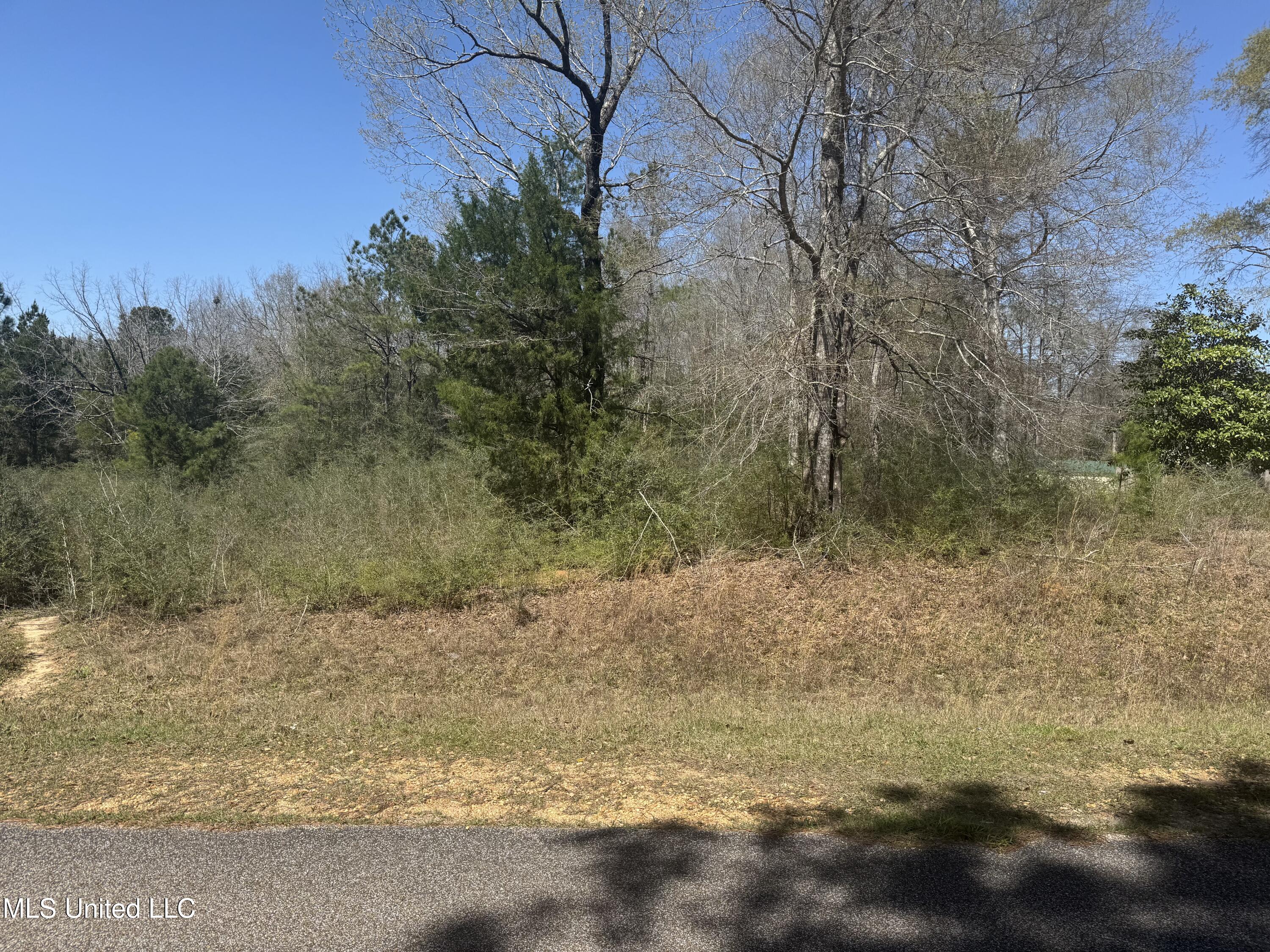 Conner Drive, Perkinston, Mississippi image 3