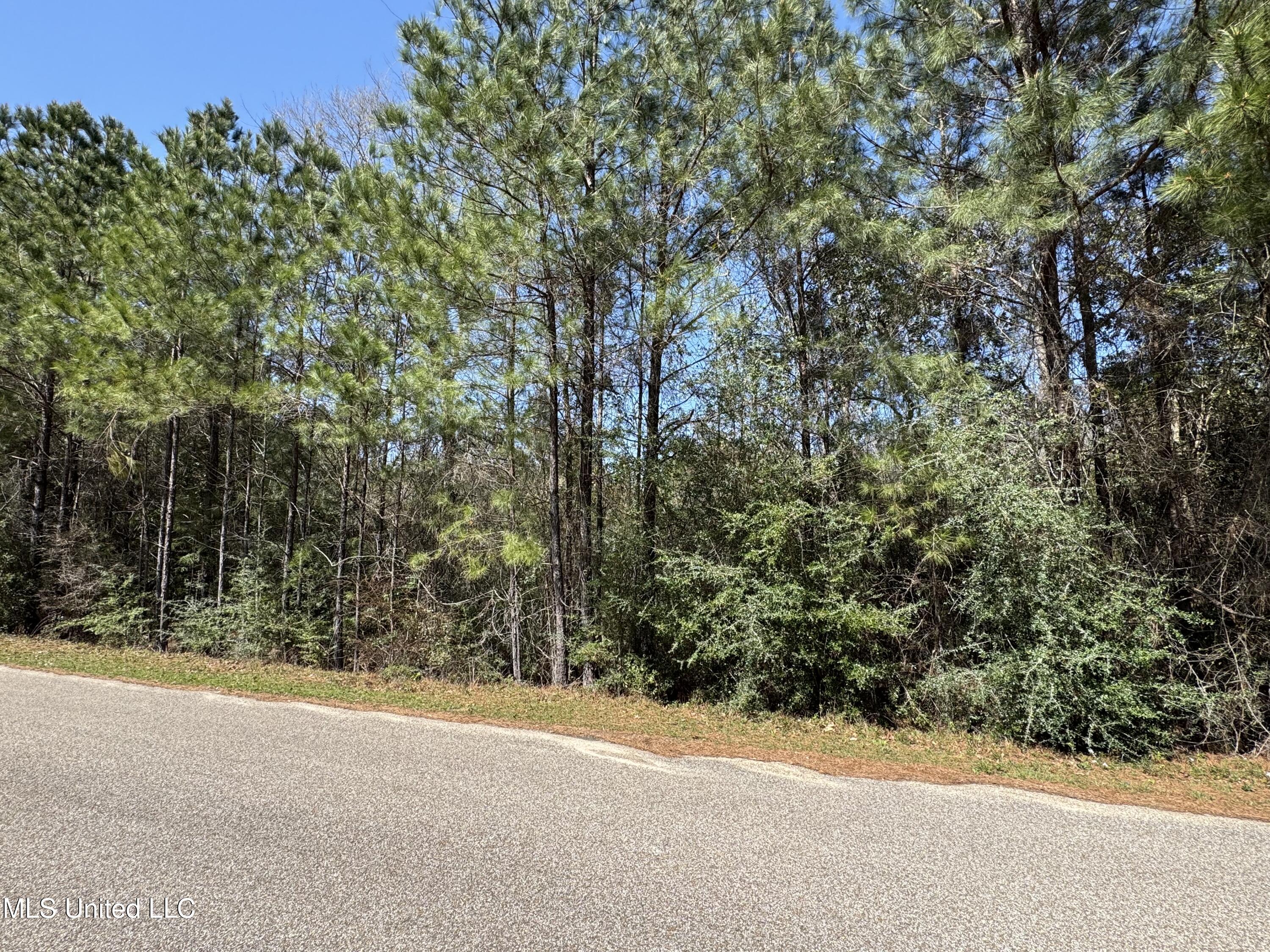 Conner Drive, Perkinston, Mississippi image 2
