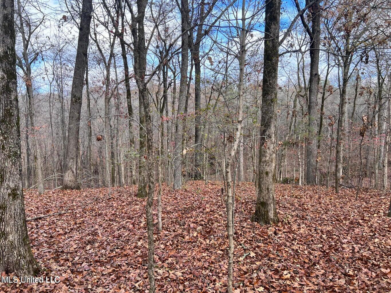N Ricks Road, Byhalia, Mississippi image 31