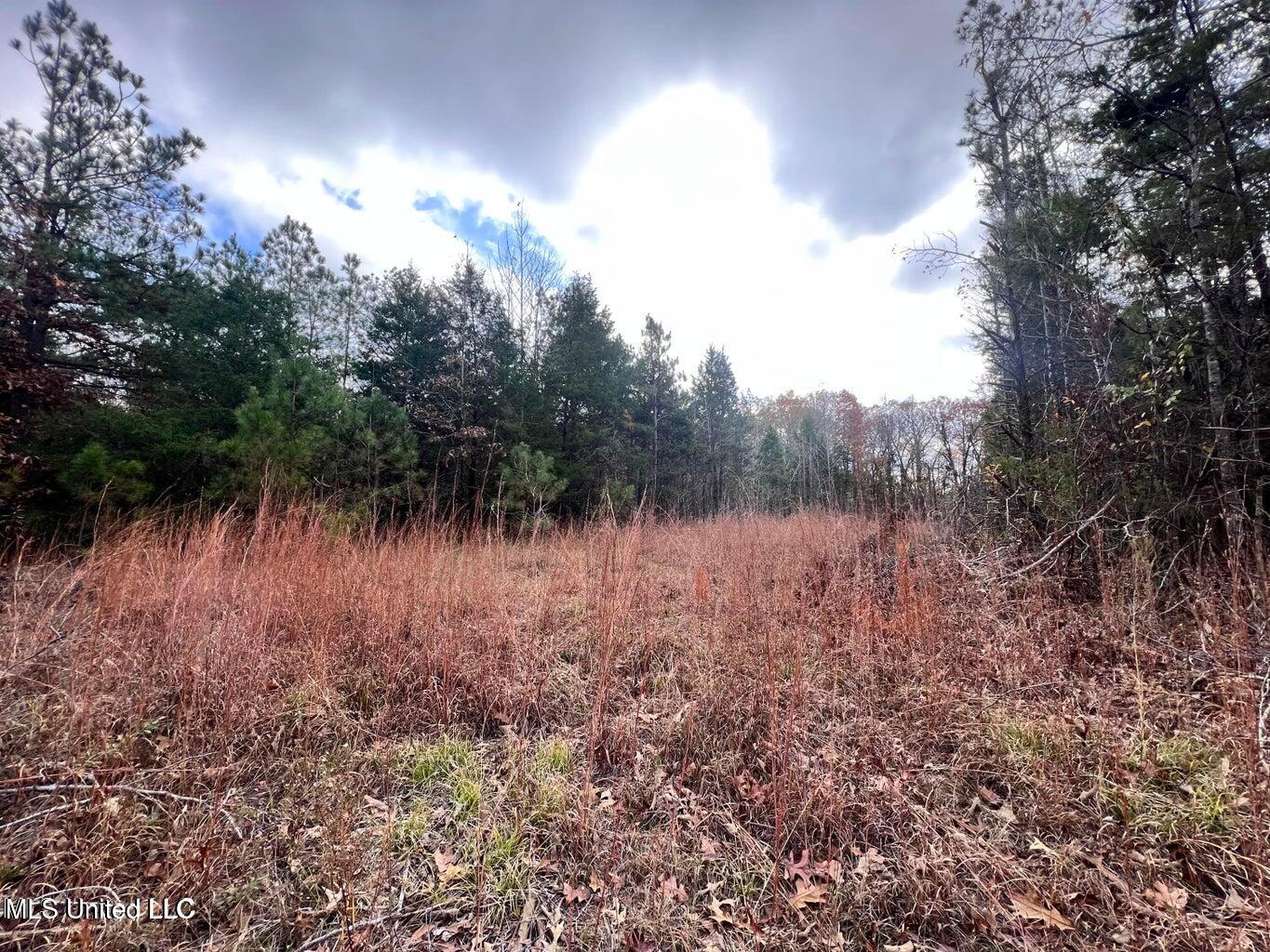 N Ricks Road, Byhalia, Mississippi image 5
