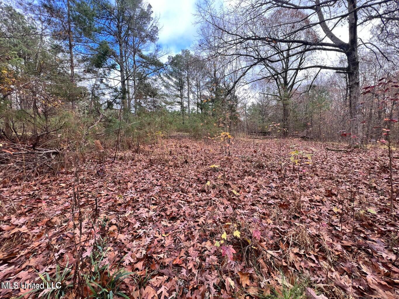 N Ricks Road, Byhalia, Mississippi image 36