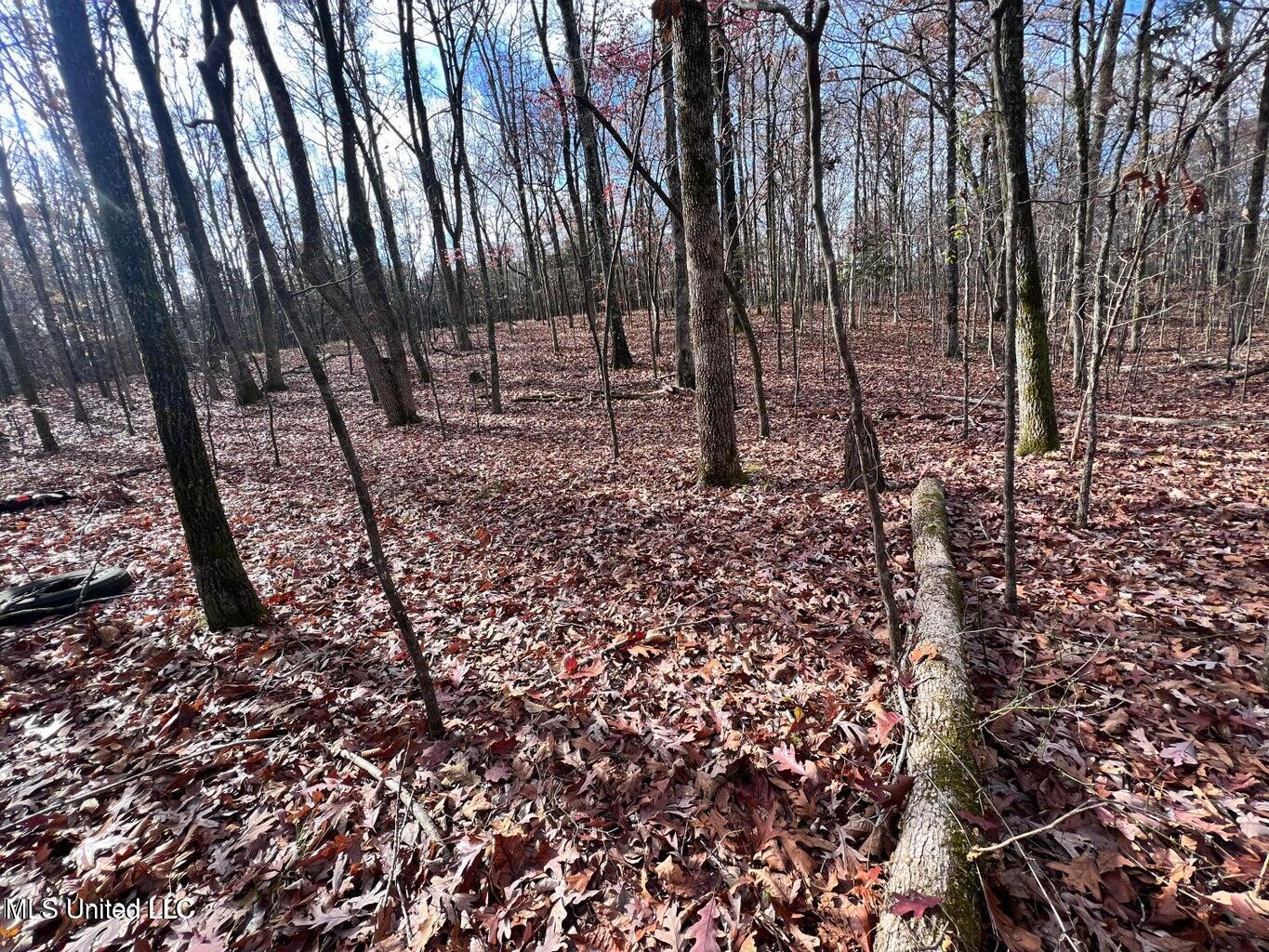 N Ricks Road, Byhalia, Mississippi image 10